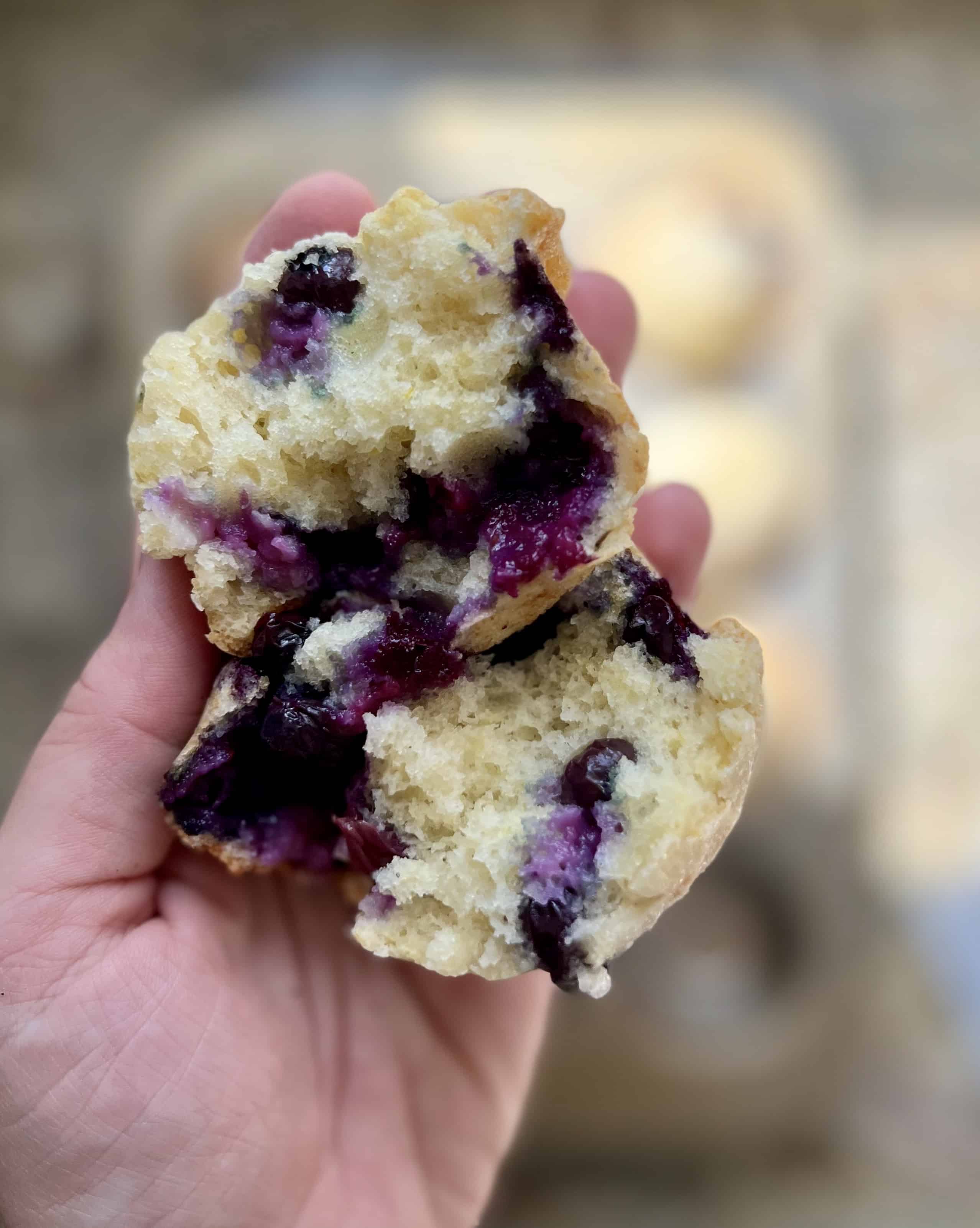 The Best Blueberry Lemon Muffins
