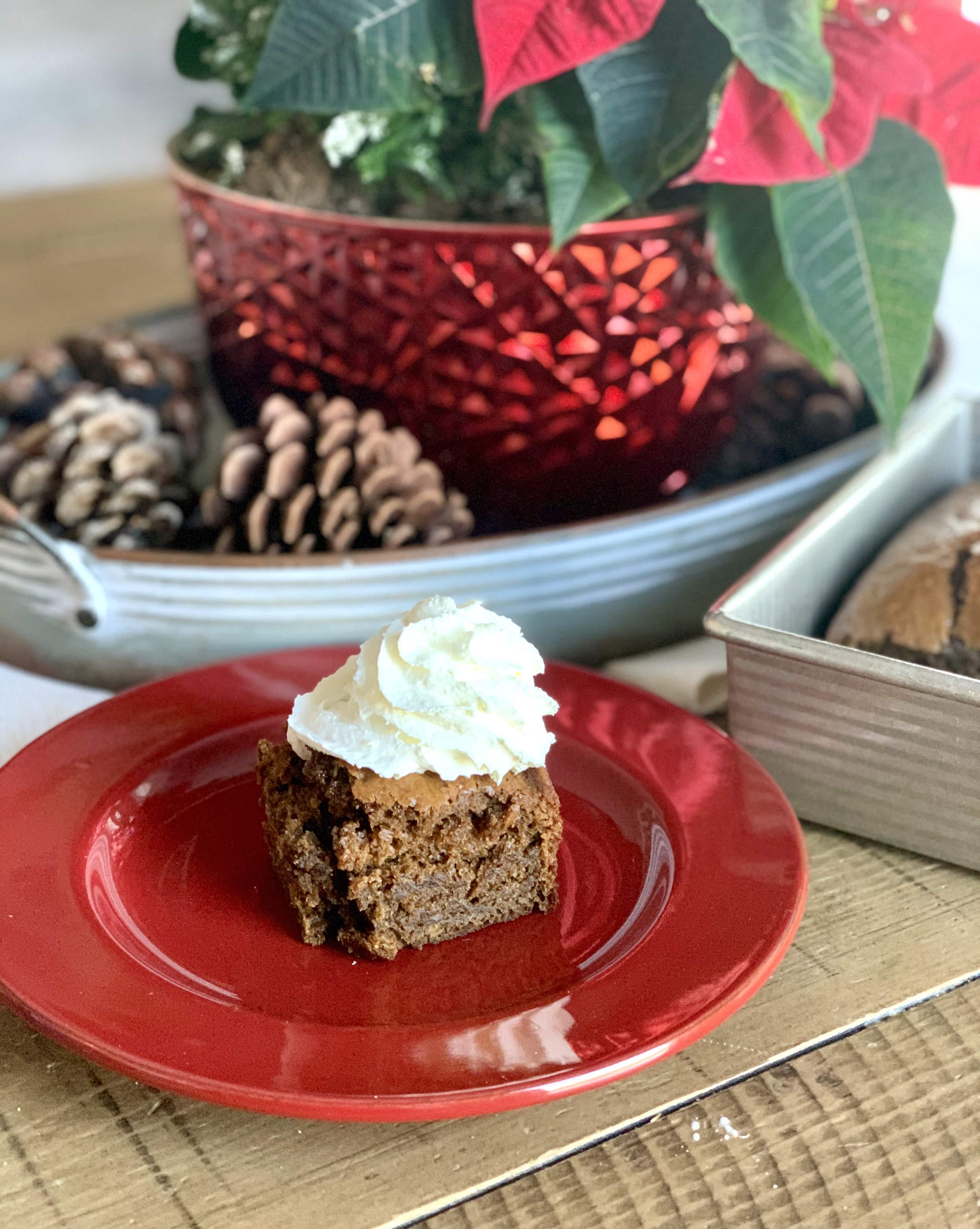 Gingerbread Snack Cake with Sourdough Discard