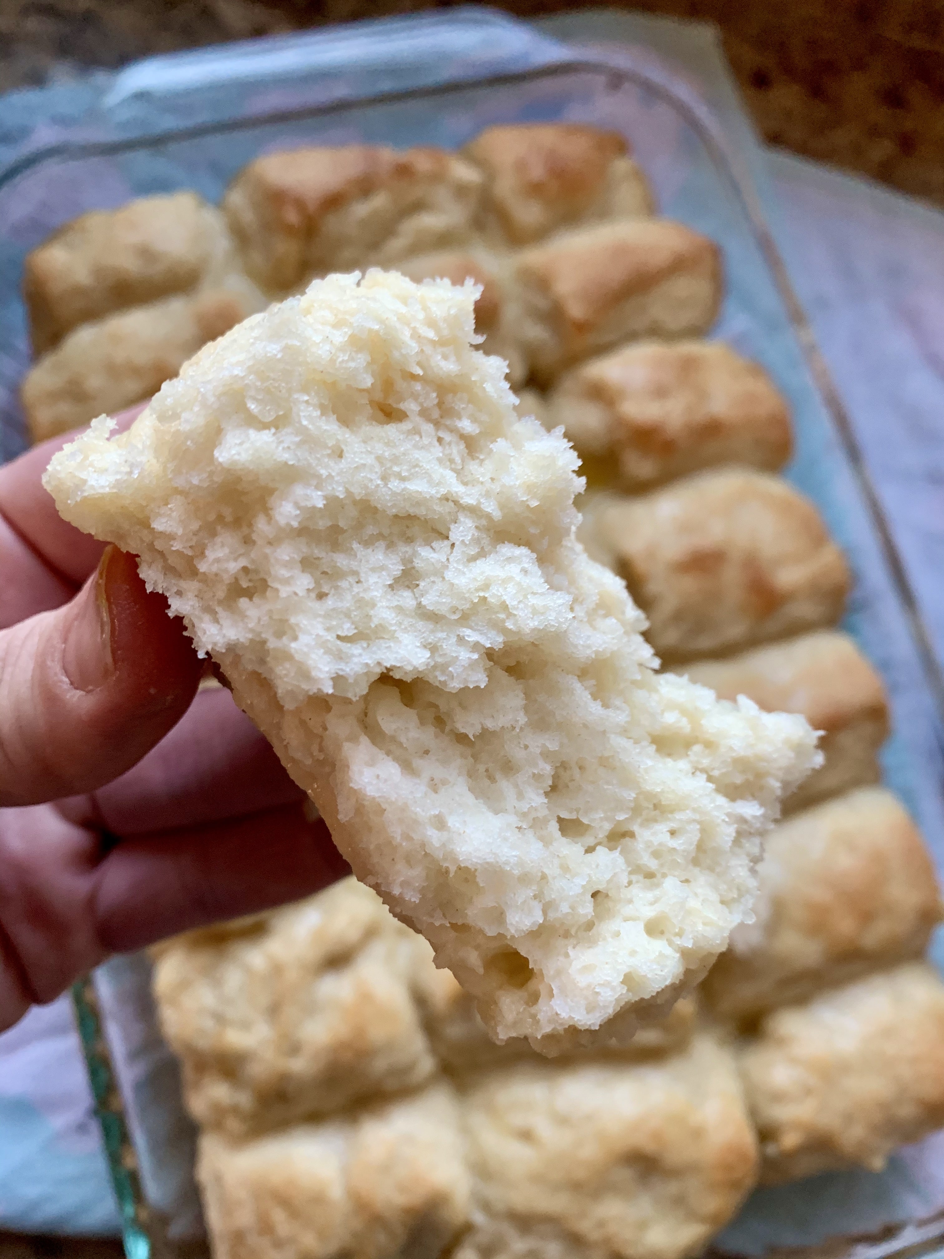 High Rise Yeast Biscuits