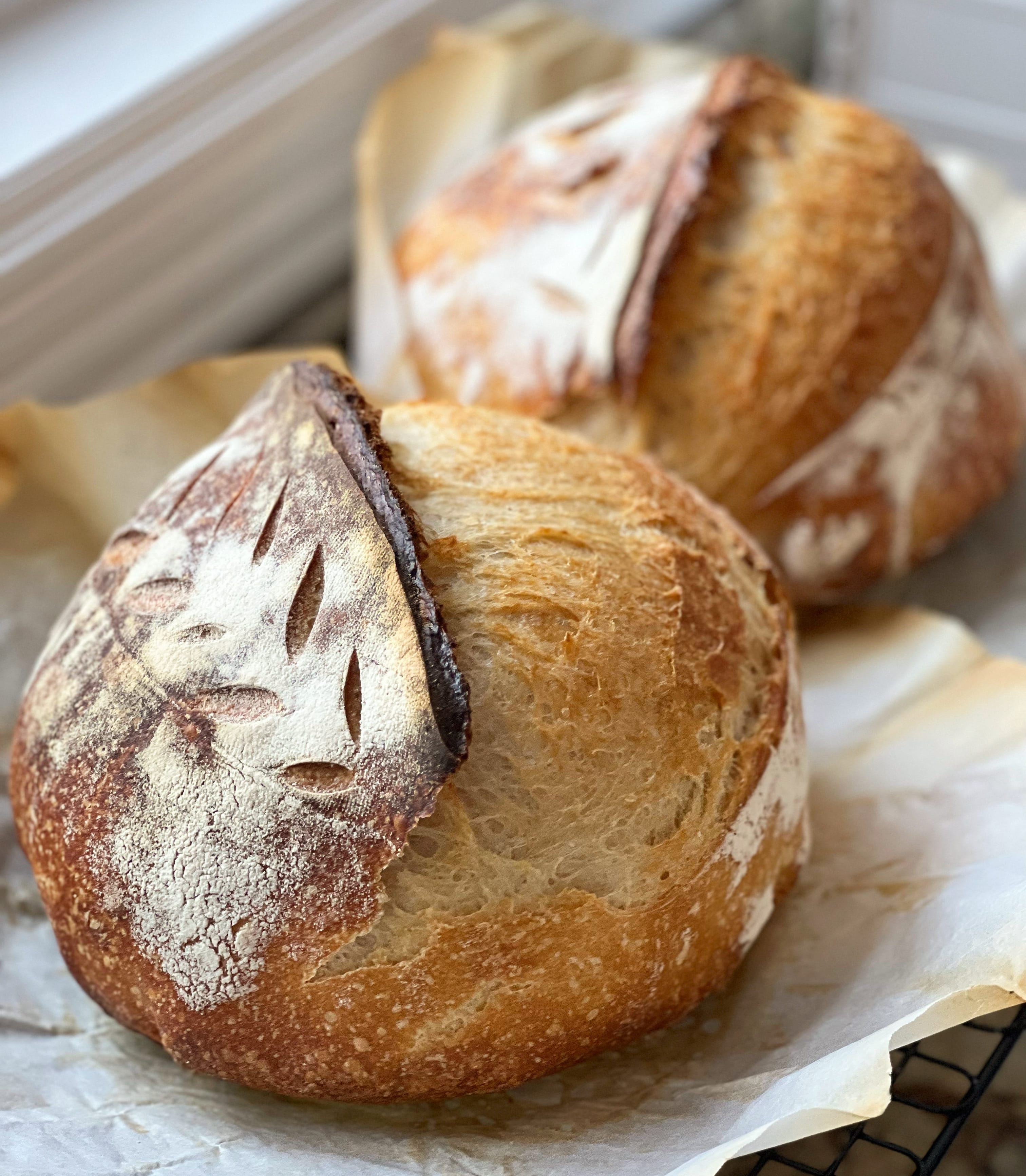 How to Knead Sourdough Artisan Bread