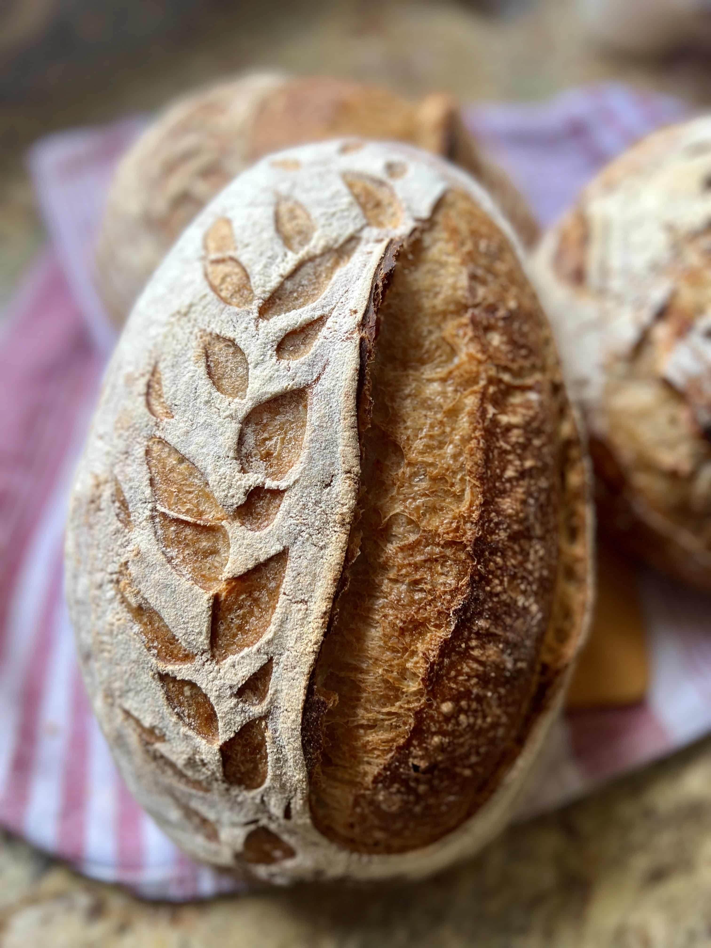Sourdough Artisan Bread Videos