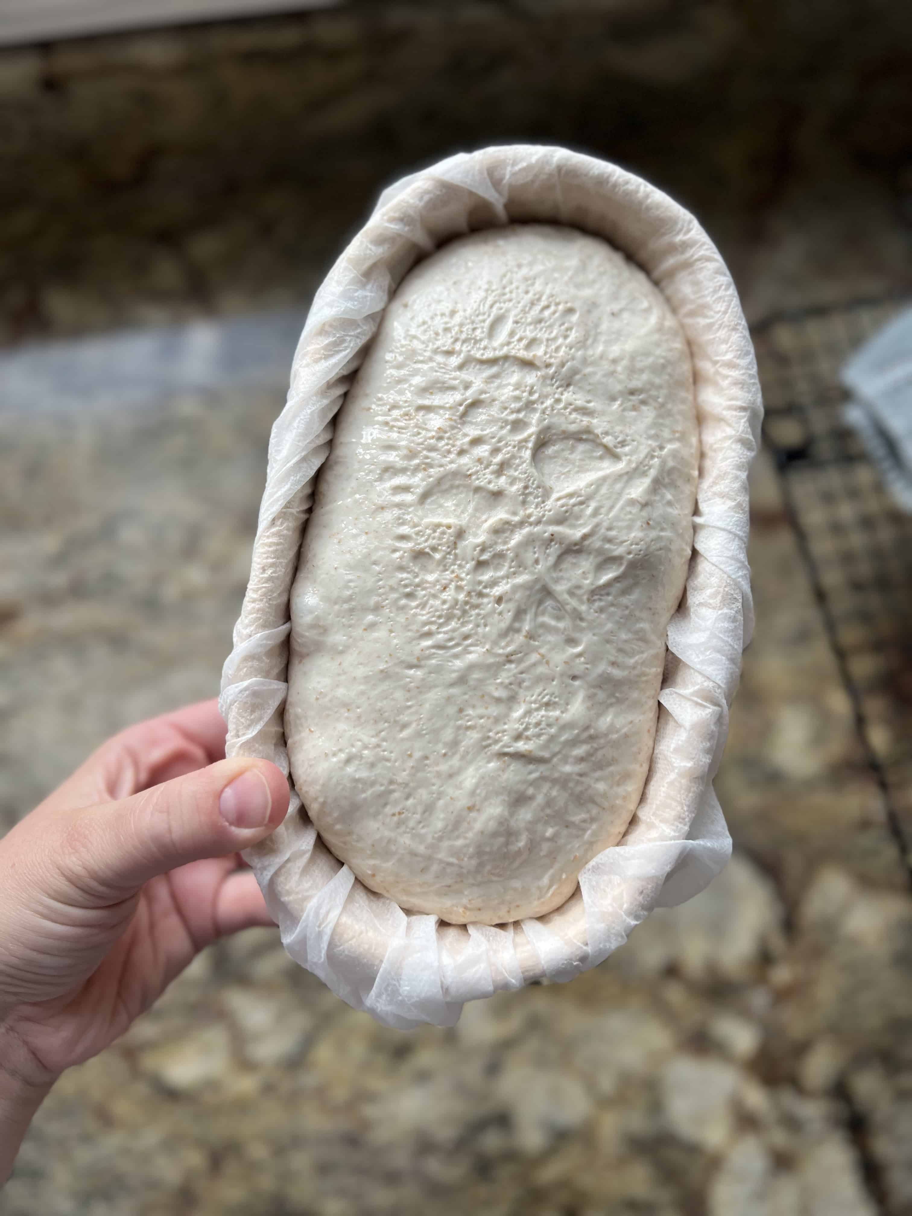 Bulk Fermentation in Sourdough Artisan Bread