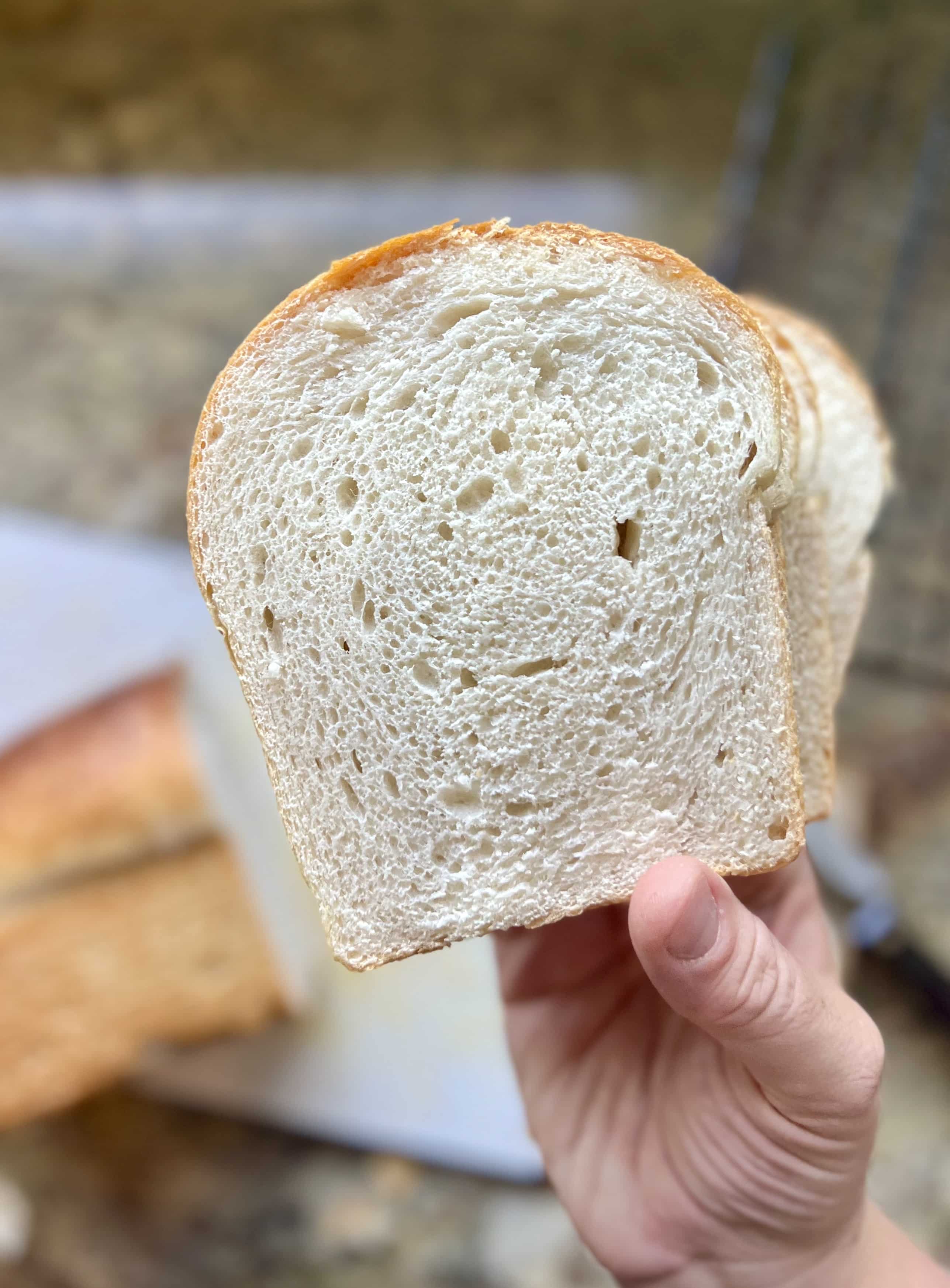 Light and Fluffy White Sandwich Bread