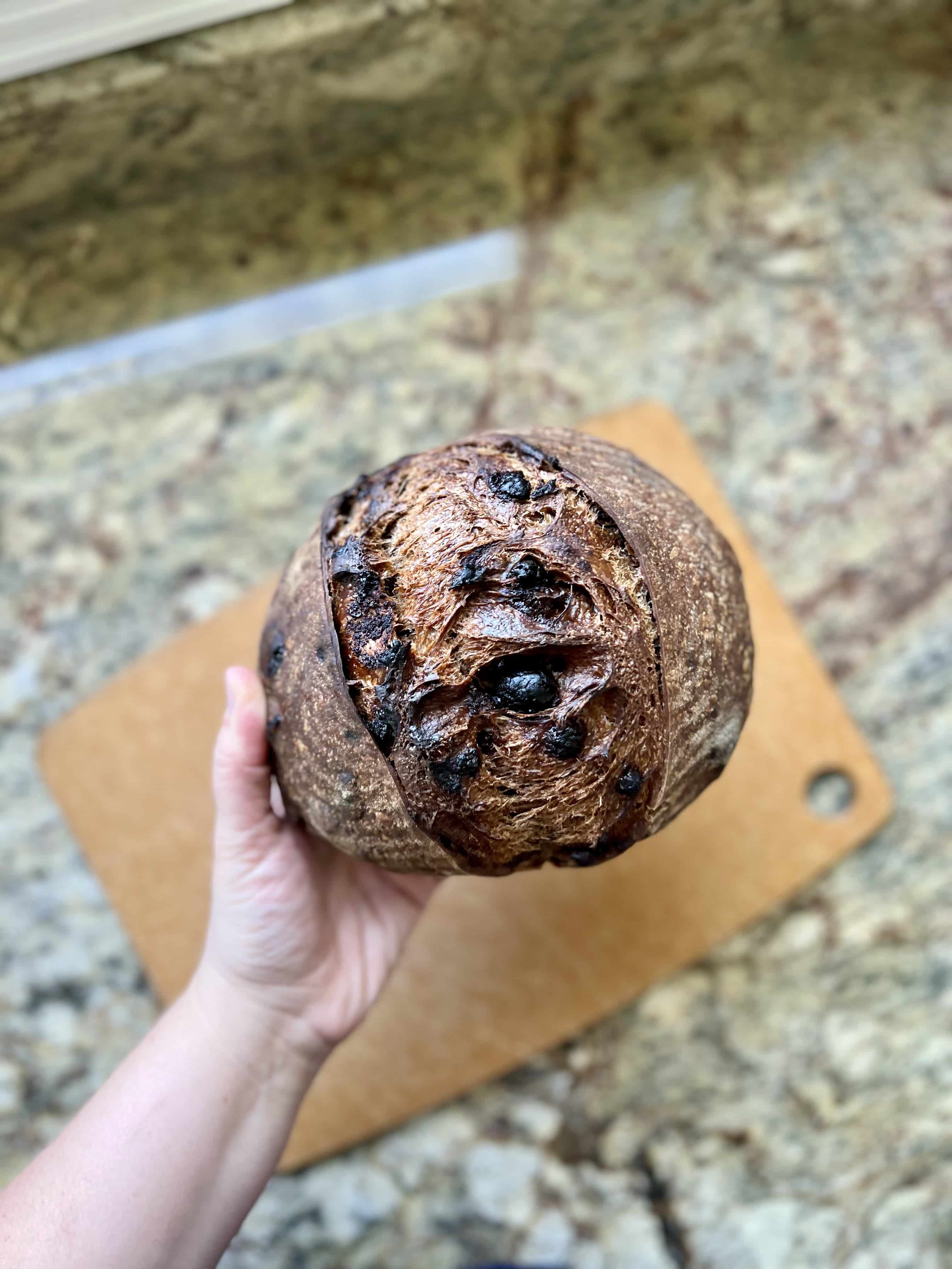 Chocolate Sourdough Artisan Bread