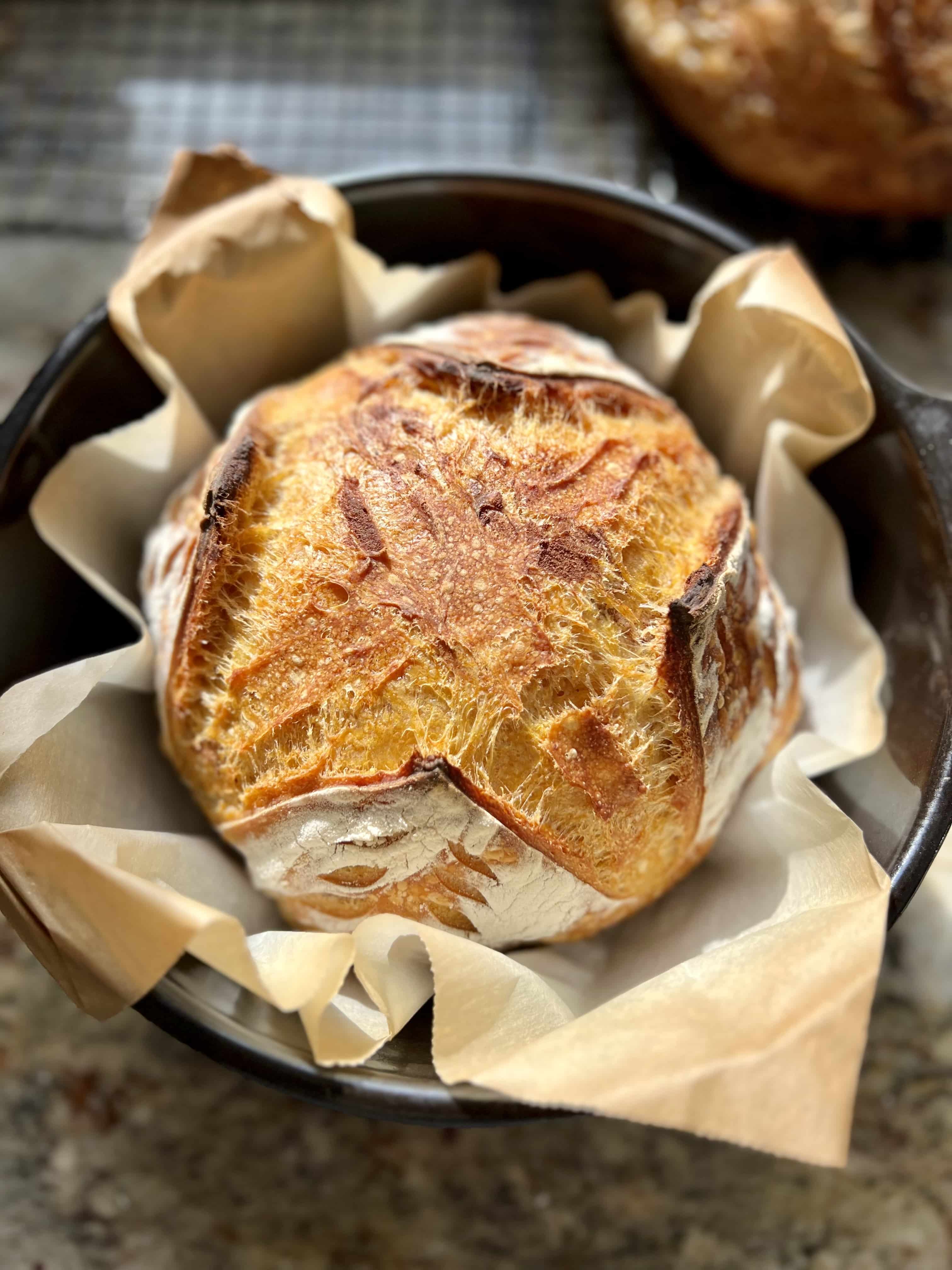 Pumpkin Sourdough Artisan Bread