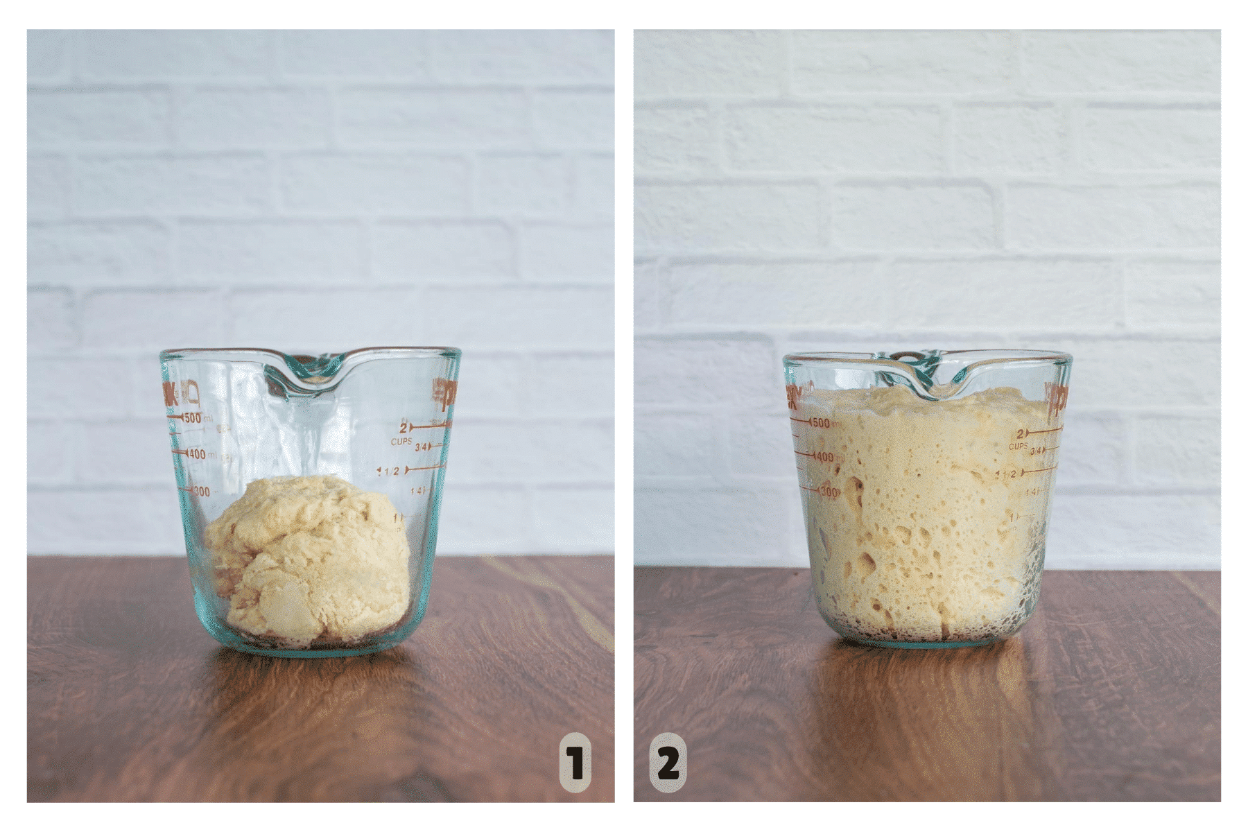 Sourdough levain doubles in size over time.