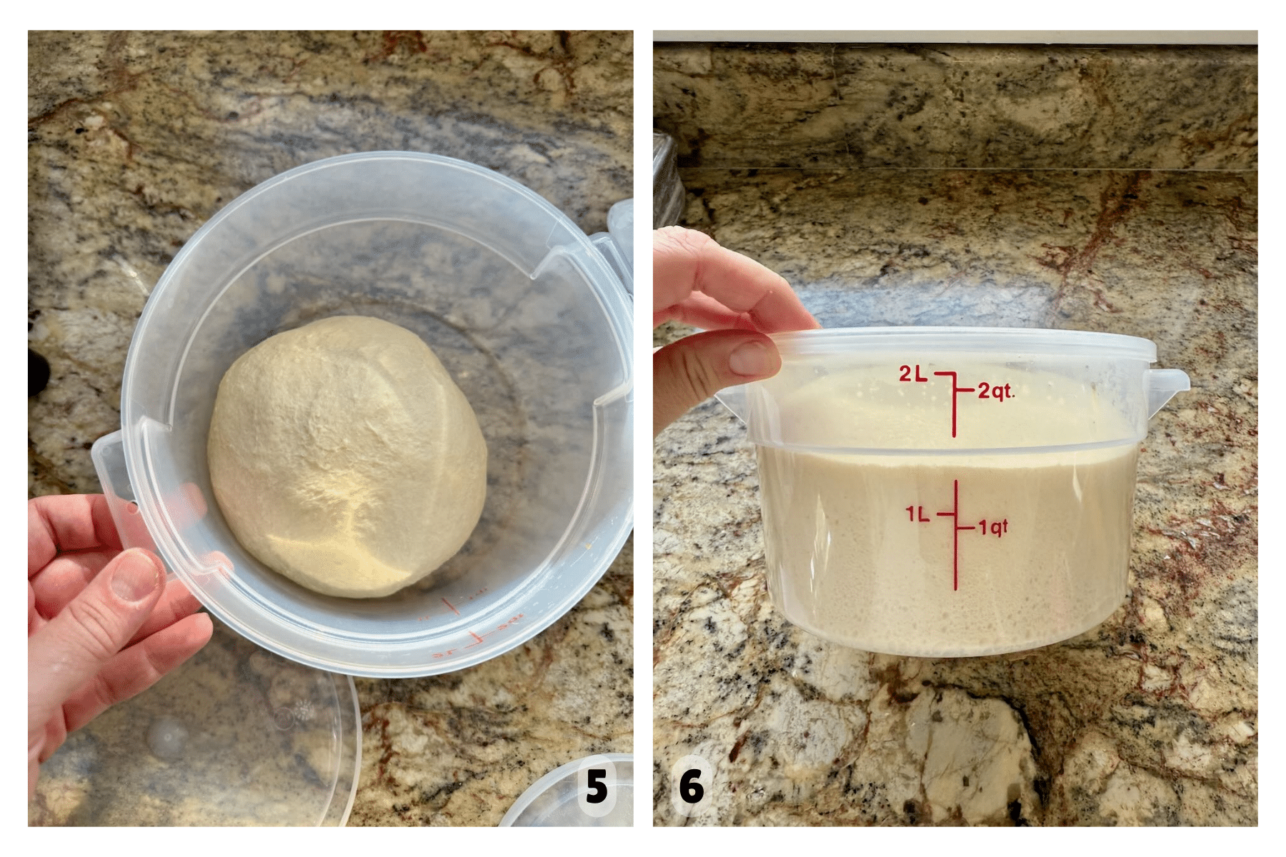 The dough rises in a clear container, showing its smooth pre-rise form and airy, doubled post-rise texture.