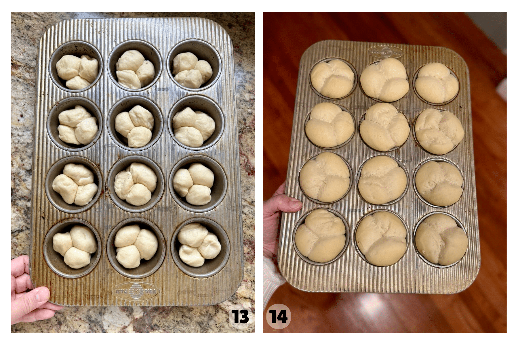 The rolls are shown before and after proofing—small dough clusters rising into plump, connected rolls.