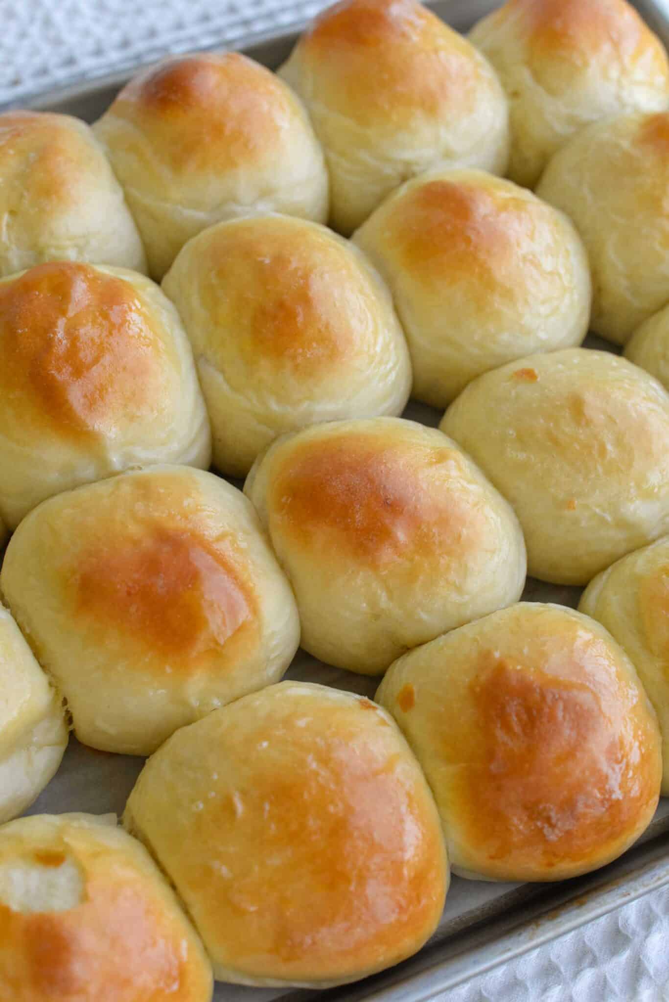 Close-up view of freshly baked sourdough discard mashed potato rolls, showing evenly browned tops and a soft, pillowy interior in a metal baking pan.