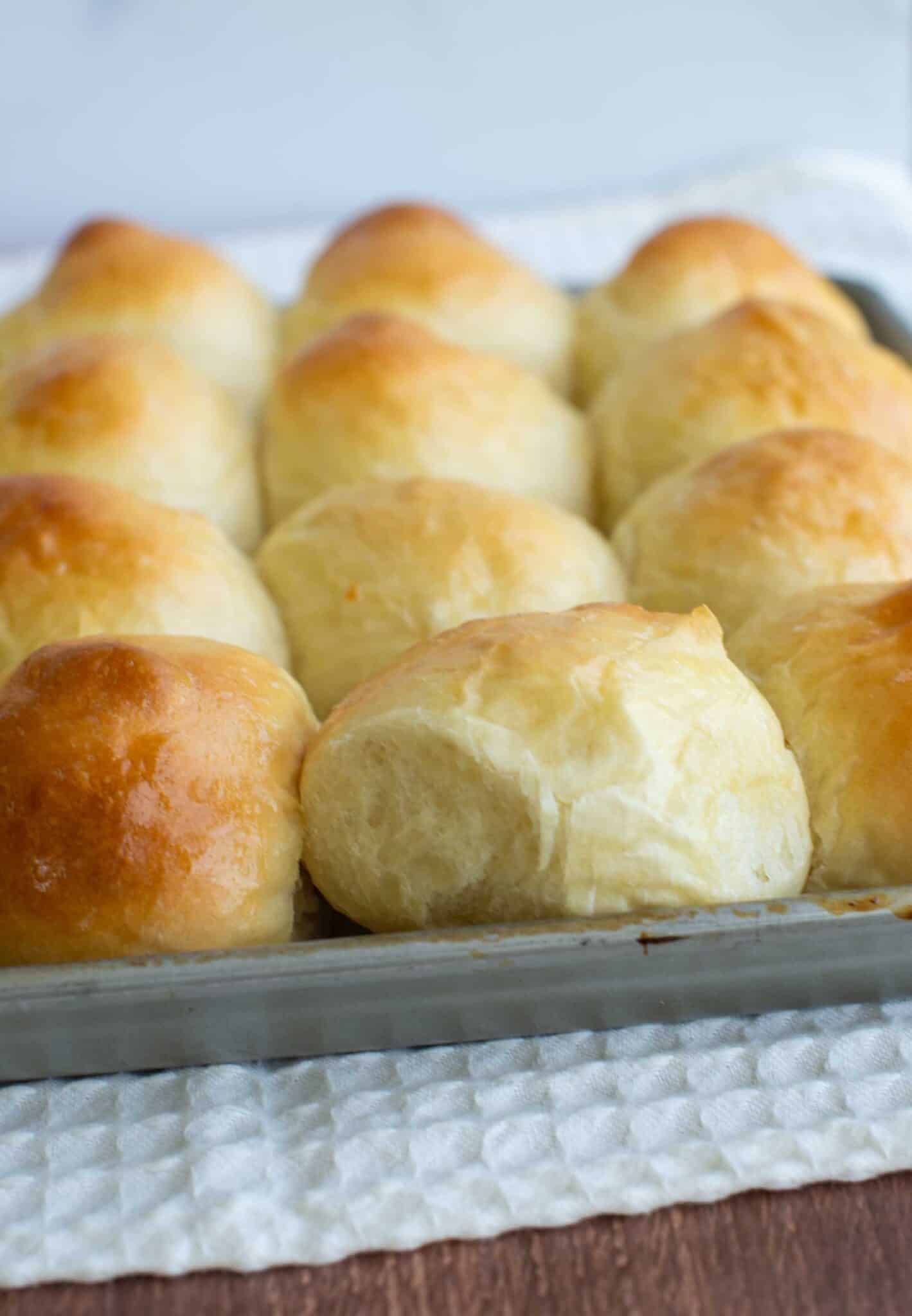 Golden brown sourdough discard mashed potato rolls in a baking pan, their tops shiny and soft with a fluffy texture visible on the edges.