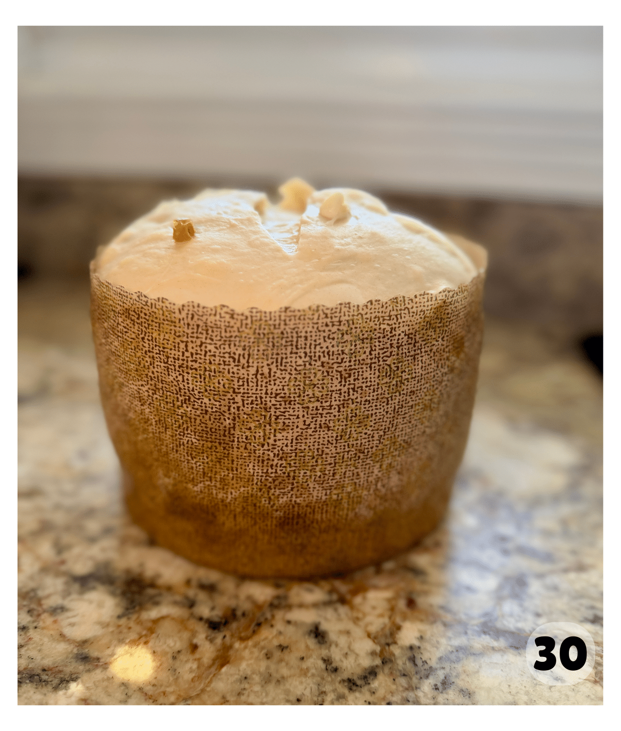 A closeup shot shows a panettone proofing.