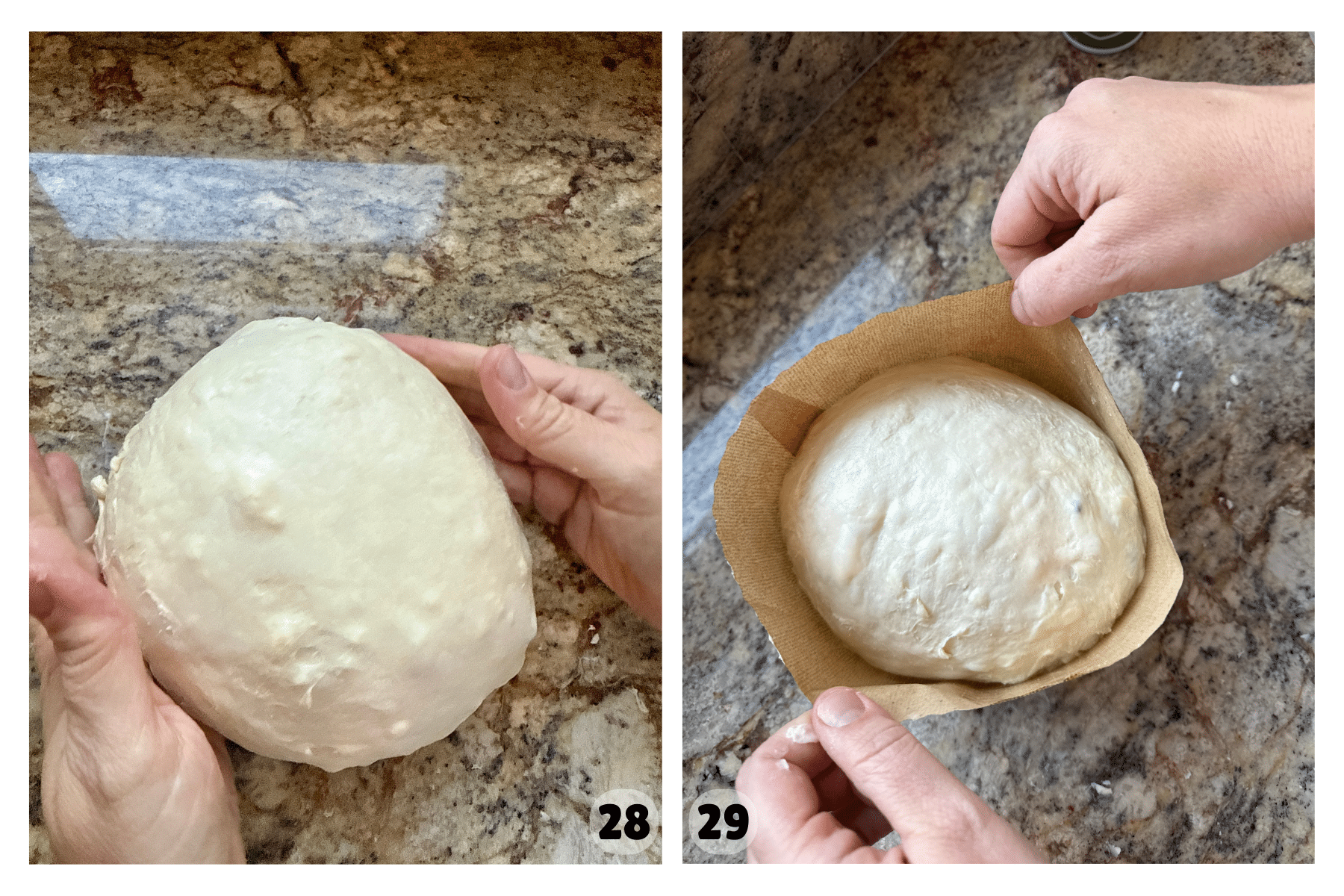 A ball of dough is shaped by two hands into a circle and then placed into a panettone mold.