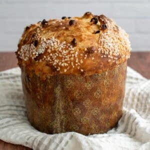 A round sourdough panettone complete with a wrapper around the bottom half sits on a kitchen towel on a countertop.