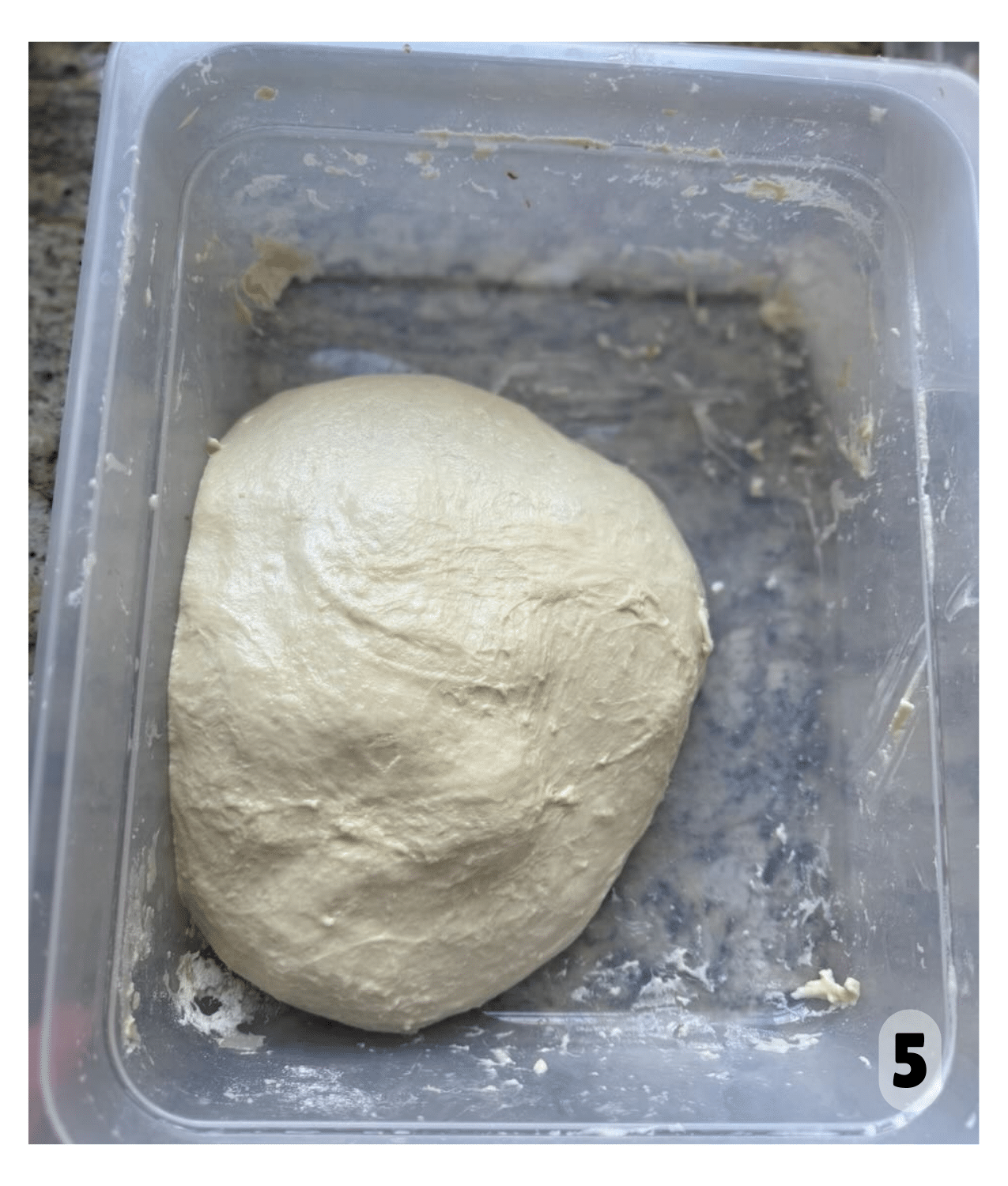 Dough rises in a large plastic container.