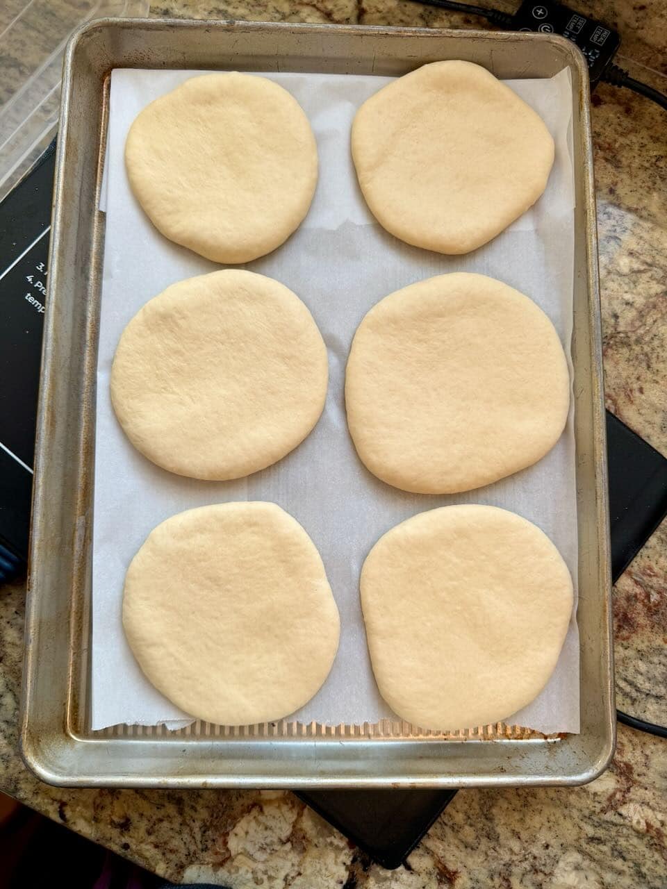 Six pieces of dough sit on a parchment lined cookie sheet prior to rising.