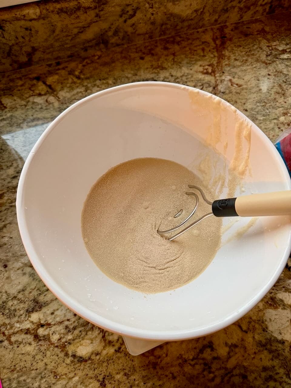 Instant yeast, discard, and water sit in a mixing bowl.