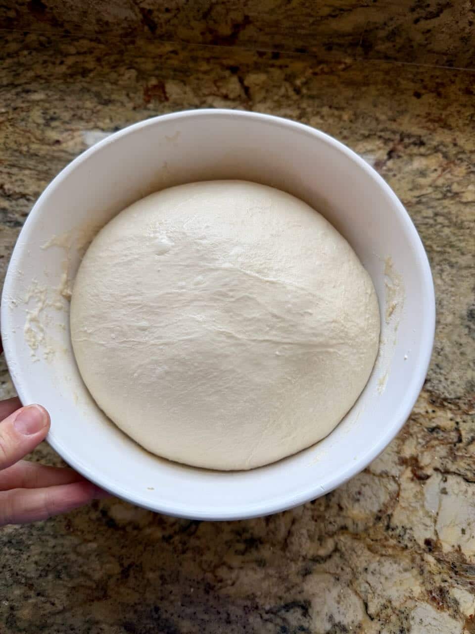 Dough sits puffed and risen in a bowl.