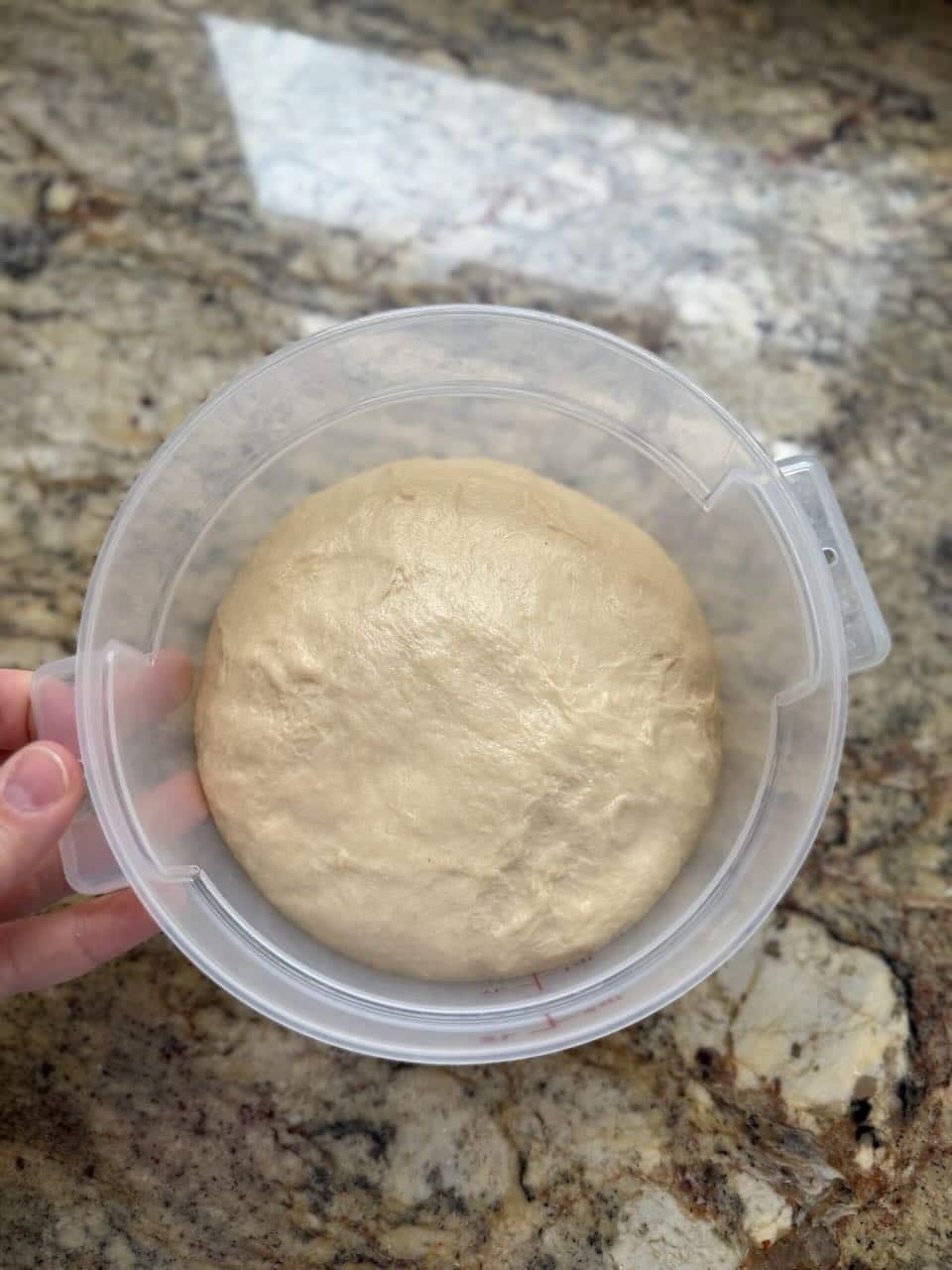 Dough rises in a plastic container.