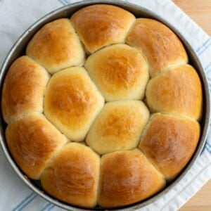 Sourdough brioche rolls in a pan on a countertop.