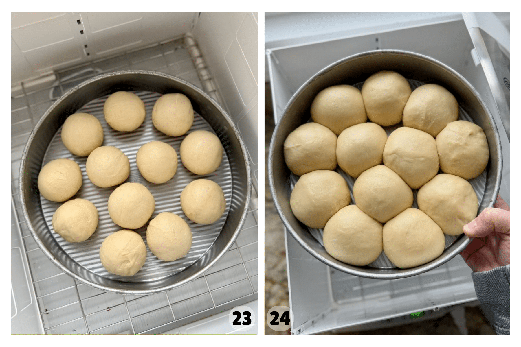 The shaped brioche rolls are placed in a pan and set in a warm spot to proof before baking.